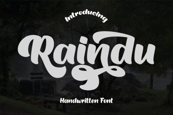 Raindu: A Script Font with Understated Confidence