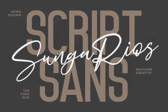 Sungarios: The Campaign Font You Didn’t Know You Needed